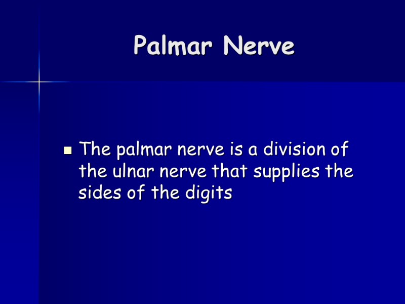 Palmar Nerve  The palmar nerve is a division of the ulnar nerve that
